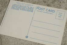 Load image into Gallery viewer, Vintage Post Card - Battery Park