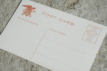 Load image into Gallery viewer, Vintage Post Card - Park Row Building