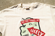 Load image into Gallery viewer, ONEITA - Alaska Souvenir Tee Shirt